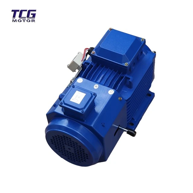AC Gear Motor With Brake best