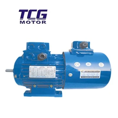 Kecepatan Variabel Motor Roda Gigi AC