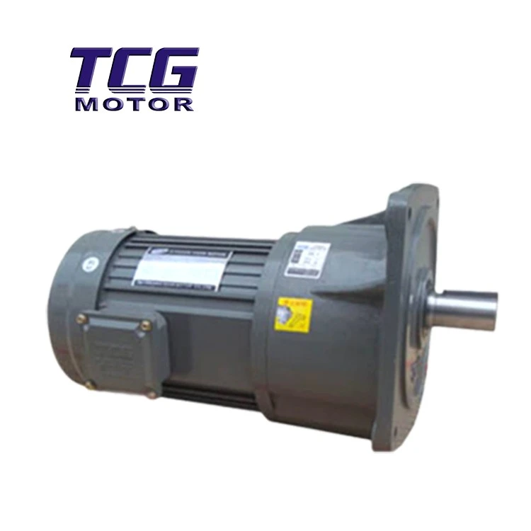 ac vertical flanged motor